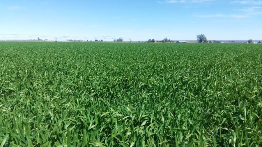 Commercial Property for Sale in Hartswater Rural Northern Cape